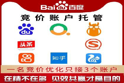 某企业SEM广告投放的ROI提升策略及效果展示